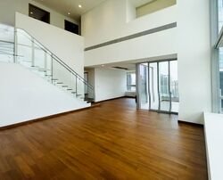 Skyline @ Orchard Boulevard (D9), Apartment #541065221